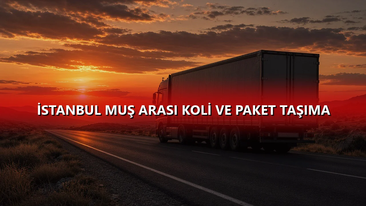 İstanbul Muş Arası Koli ve Paket Taşıma