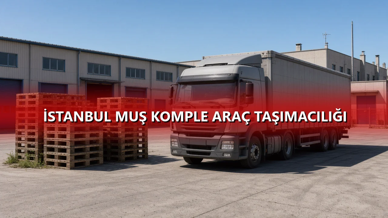 İstanbul Muş Komple Araç Taşımacılığı